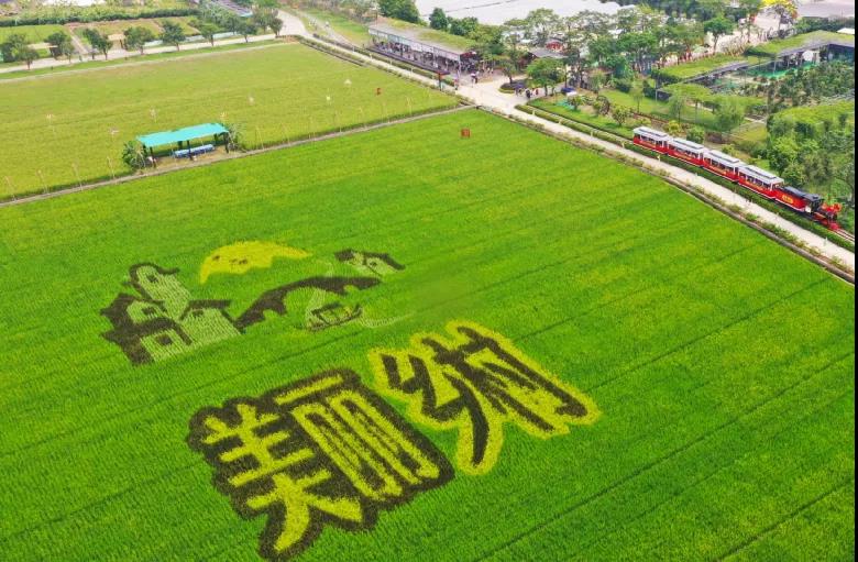 约起打卡！水乡这条村入选2020年中国美丽休闲乡村