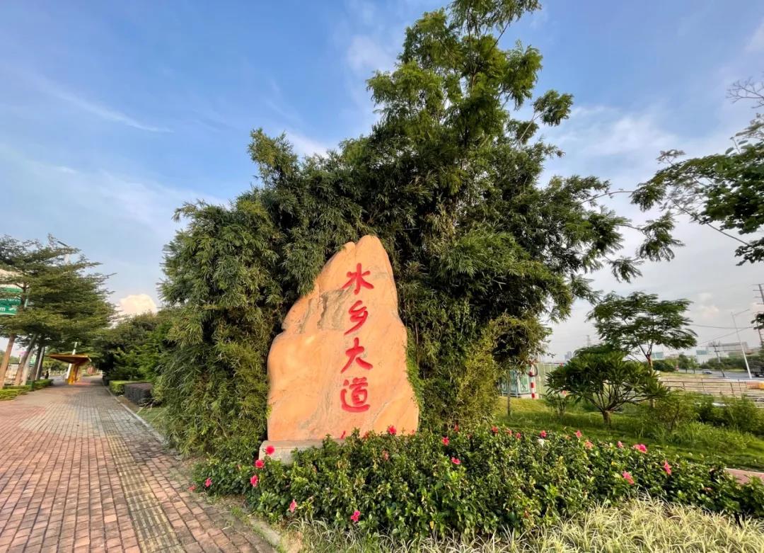 水乡大道换“新妆”