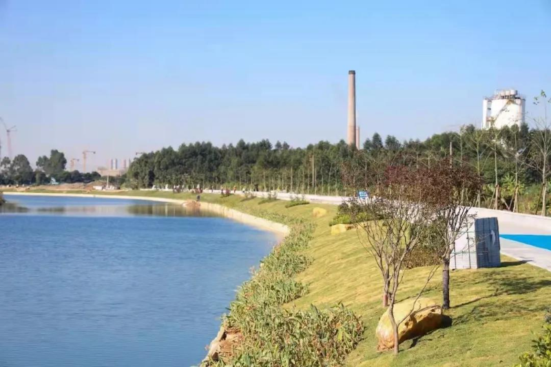06.jpg