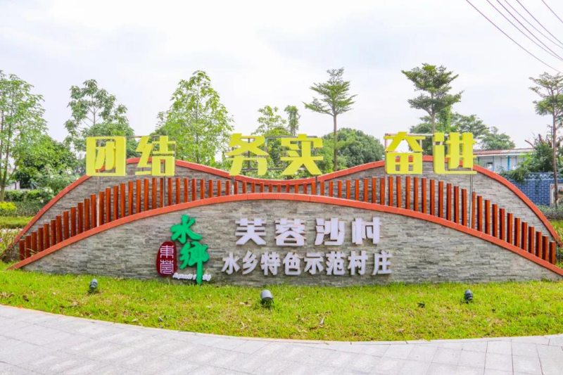02.jpg