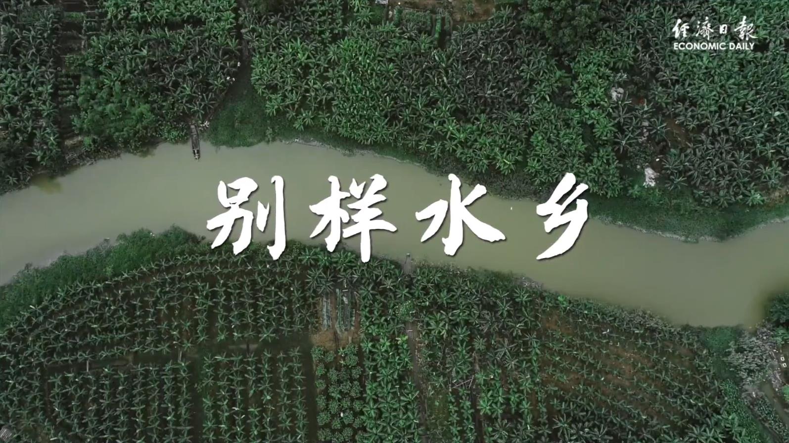 原来你是这样的东莞 | 看岭南水乡的春光