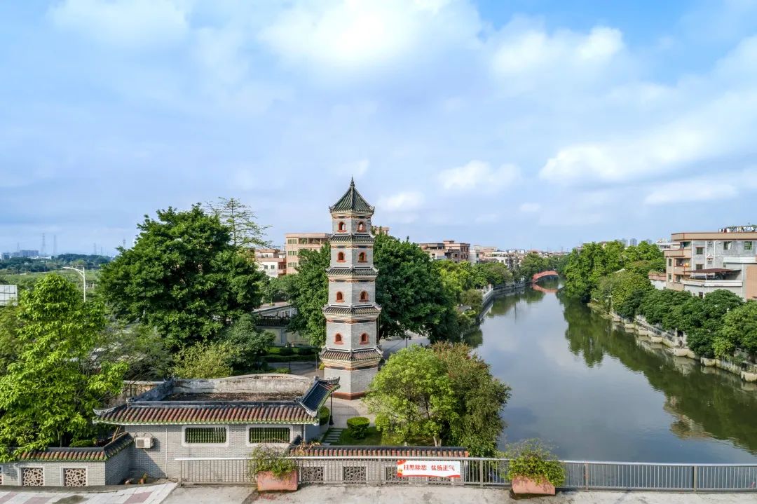 重返“绿水清波”，望溪河实现华丽转变