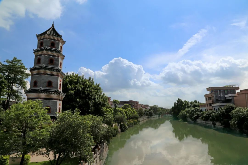 06.jpg