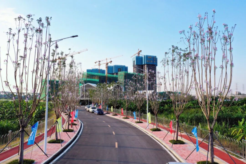 05.jpg