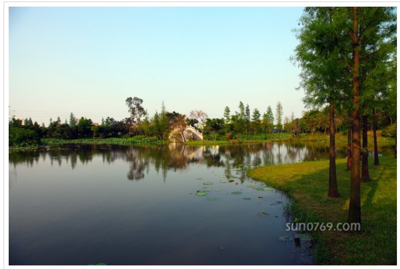 道滘水乡美景