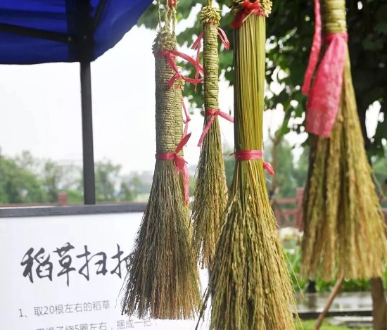 寻趣水乡田野 体验丰收喜悦