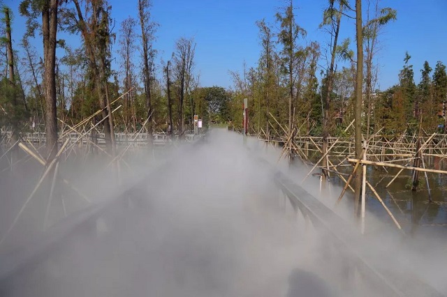 水乡华阳湖新增一处景点 让游客如入仙境