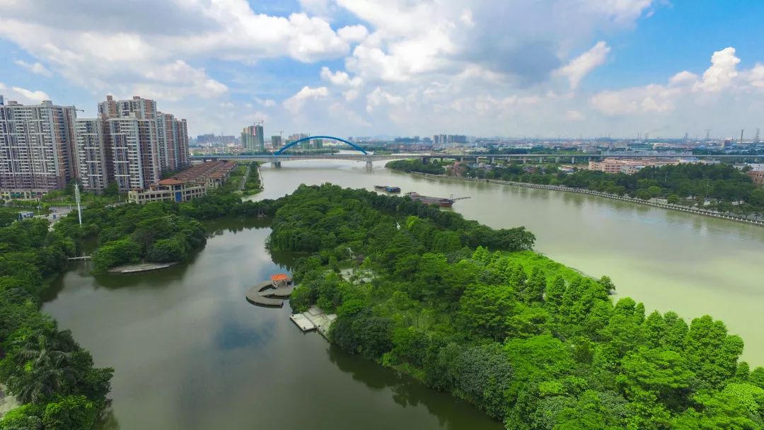 水乡道滘镇推动乡村产业升级 做好"加减法"